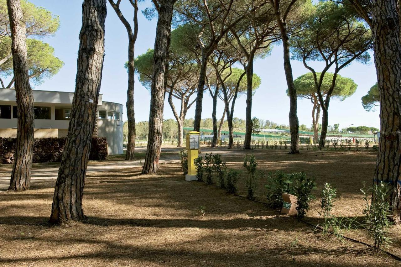 Camping Village Roma Capitol Lido di Ostia Ngoại thất bức ảnh